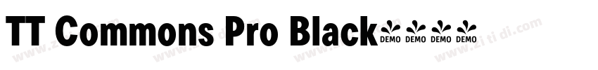 TT Commons Pro Black字体转换